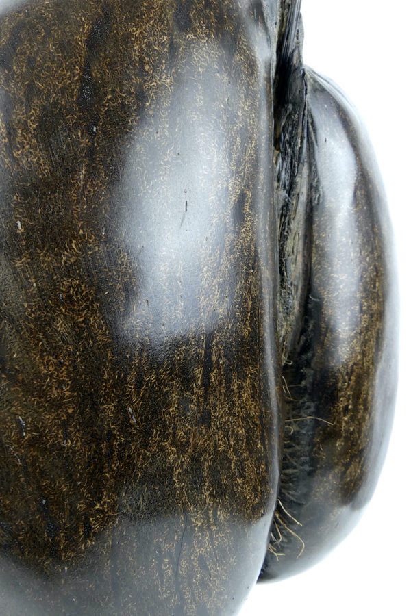 Coco-fesses poli sur pied (détail)