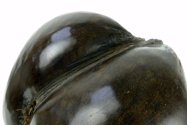 Coco-fesses poli sur pied (détail)