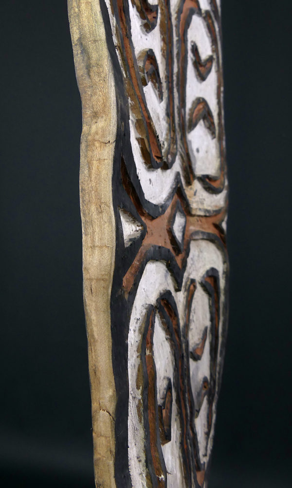 Grand bouclier de guerre Kombai en bois peint sur socle (détail tranche)
