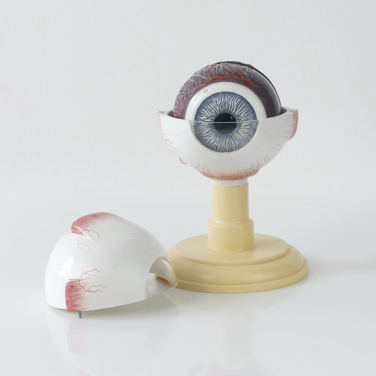 Sphère Décorative œil De Sorcière – Boule En Verre Avec Prothèses Oculaires, Objet De Curiosité