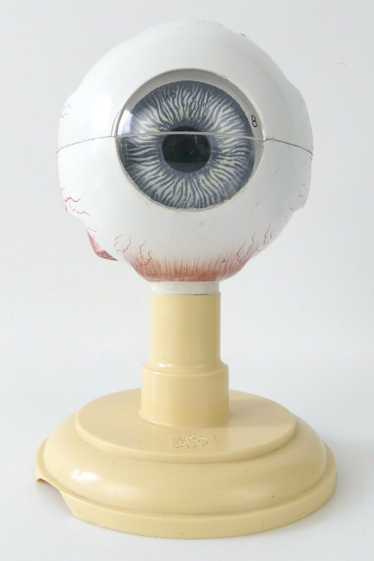 globe objet de curiosité décoration avec prothèses oculaires