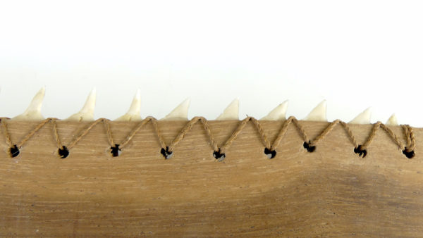 Grand couteau de guerrier Kiribati des Îles Gilbert (détail)