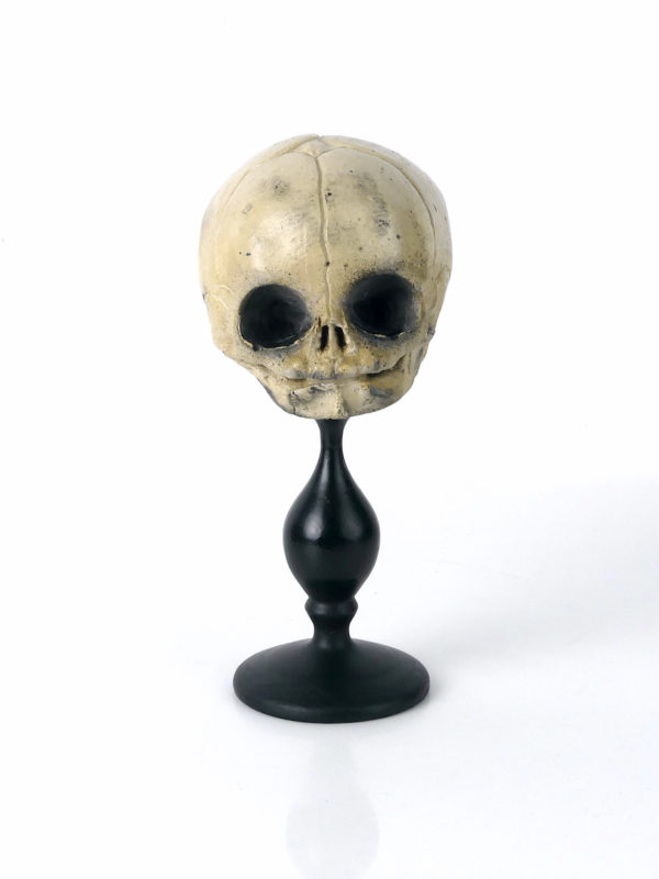 Petit crâne de fœtus sur pied (face)