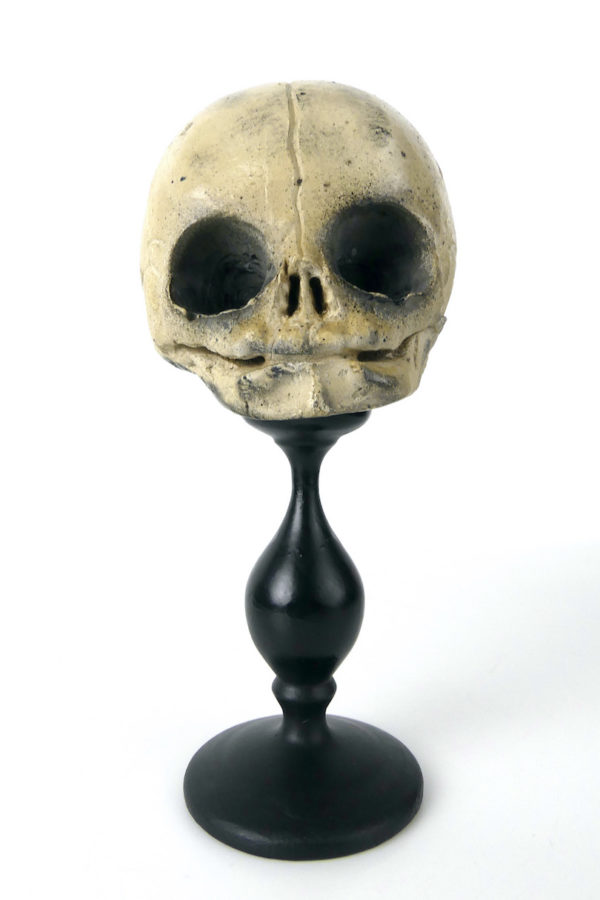 Petit crâne de fœtus sur pied (face)