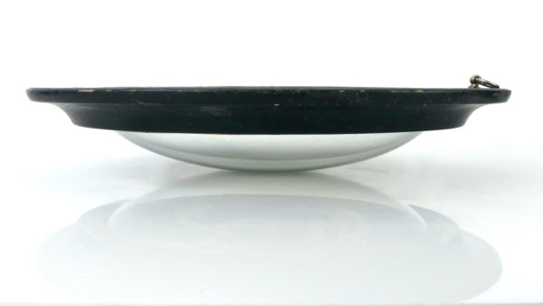 Squelette de grenouille sous verre bombé (profil)