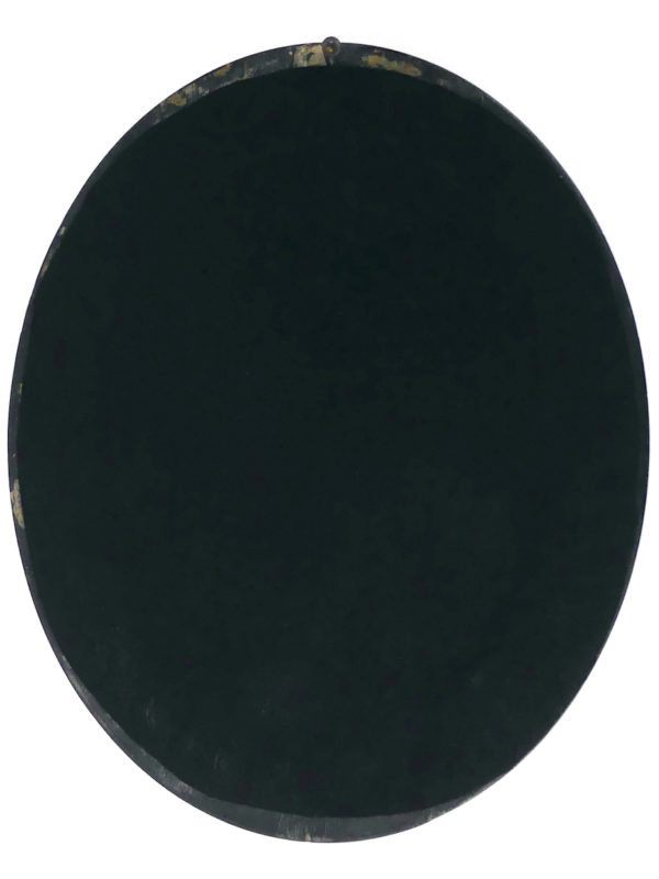 Squelette de Rajidae sous verre bombé (dos)