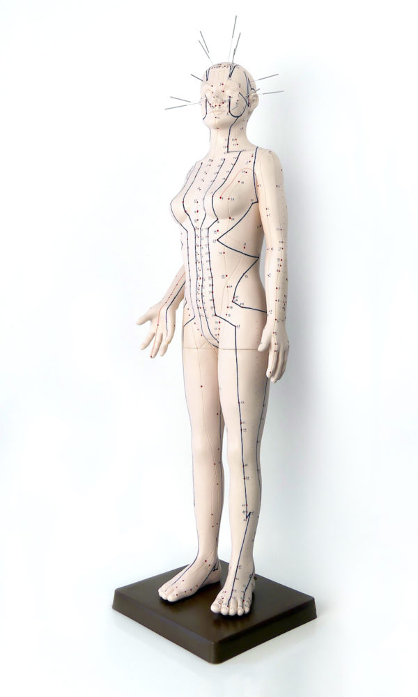 Grand mannequin d’acupuncture femme en PVC 70 (3/4)