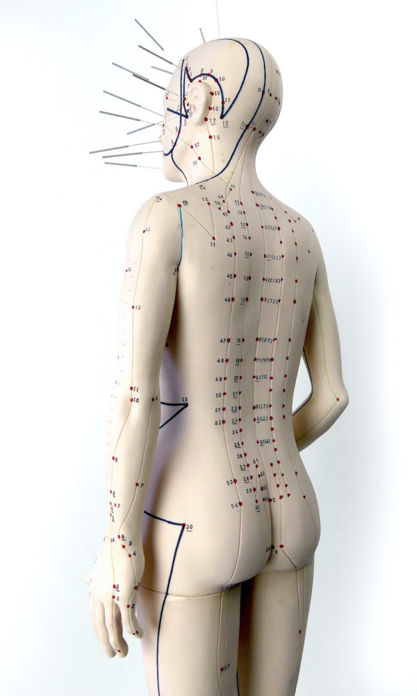 Grand mannequin d’acupuncture femme en PVC 70 (détail 3/4 dos)