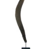 Grand boomerang aborigène ancien en bois dense sur socle