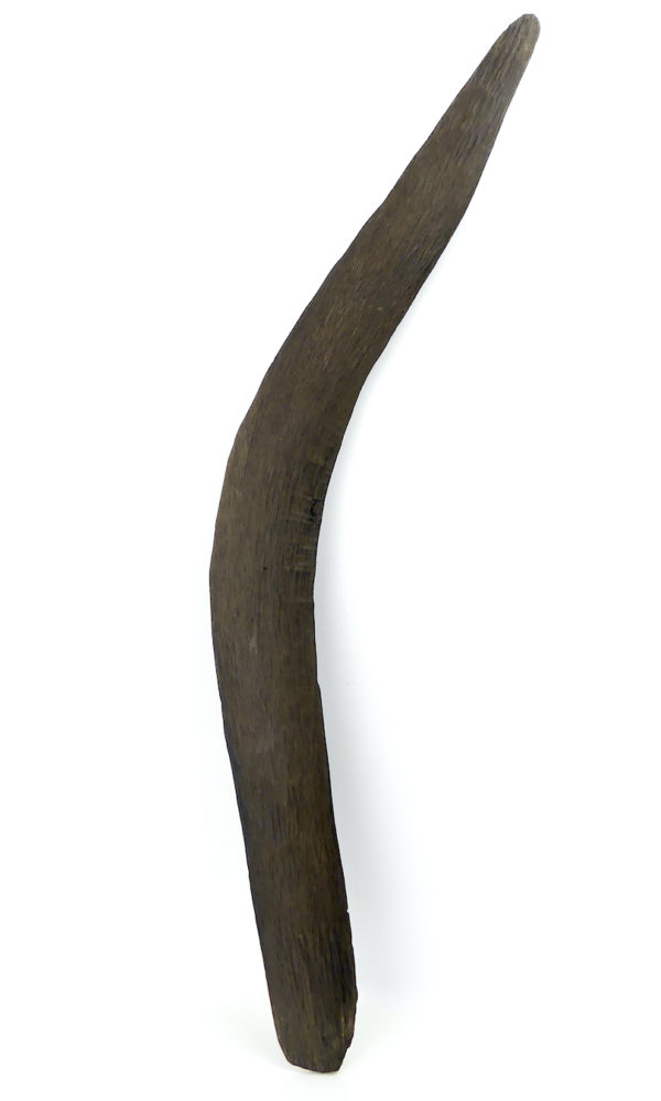 Grand boomerang aborigène ancien en bois dense (face)