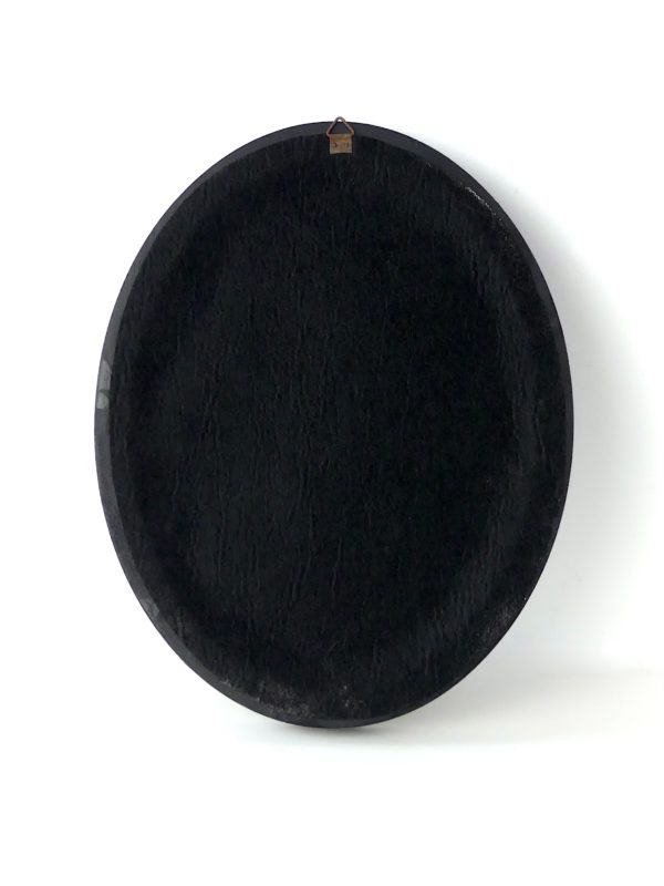 Squelette de crapaud d'Asie Duttaphrynus melanostictus sous verre bombé (dos)