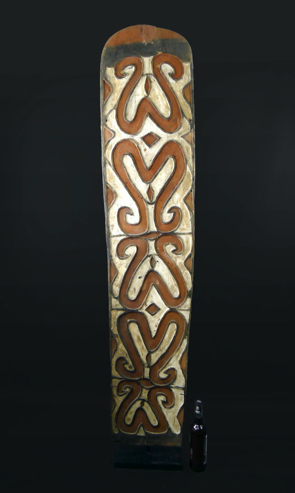 Très grand bouclier Asmat en bois Papouasie-occidentale (proportion)