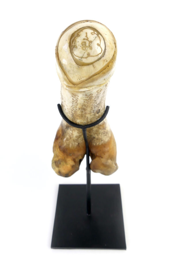 Palad Khik amulette pénis thaïlandaise en os sur socle (devant)