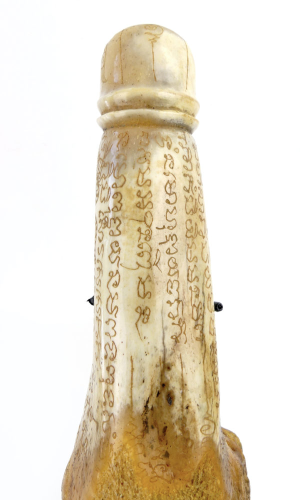 Palad Khik amulette pénis thaïlandaise en os sur socle (détail dessus)