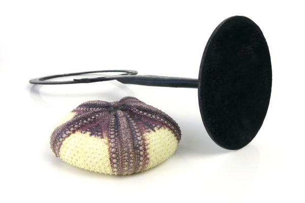 Grand test d’oursin rouge Astropyga radiata suspendu sur socle (détaché)