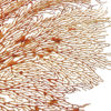 Grande gorgone rouge Gorgonian sur pied en marbre (détail)