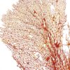 Grande gorgone rouge Gorgonian sur pied en marbre (détail)
