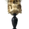 Memento Mori bicéphale Christ et crâne en tamarin (dessous)