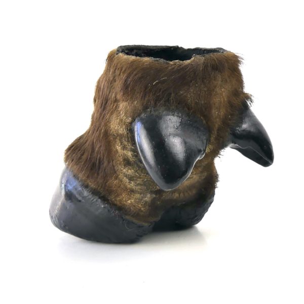 Pied de buffle naturalisé ancien - Taxidermie (3/4 dos)