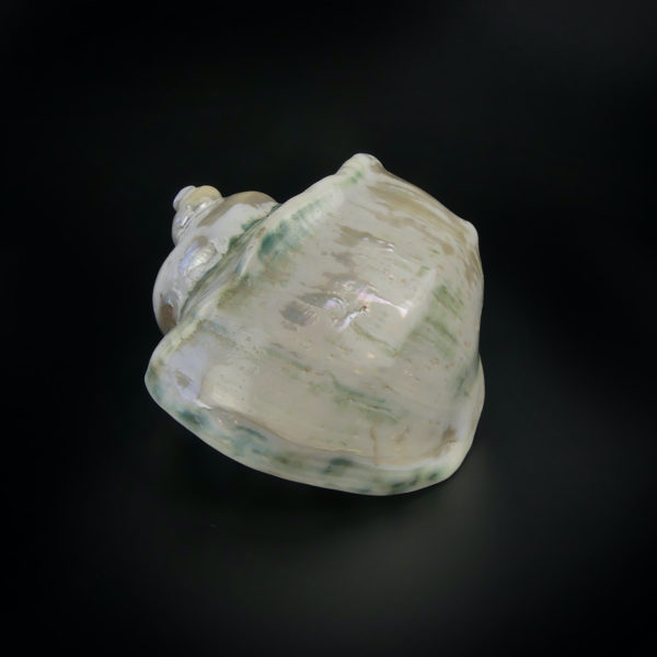 Turbo marmoratus poli aux reflets irisés vert (profil)