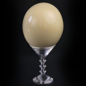 Œuf d’autruche sauvage sur coupe en cristal de Baccarat (face)