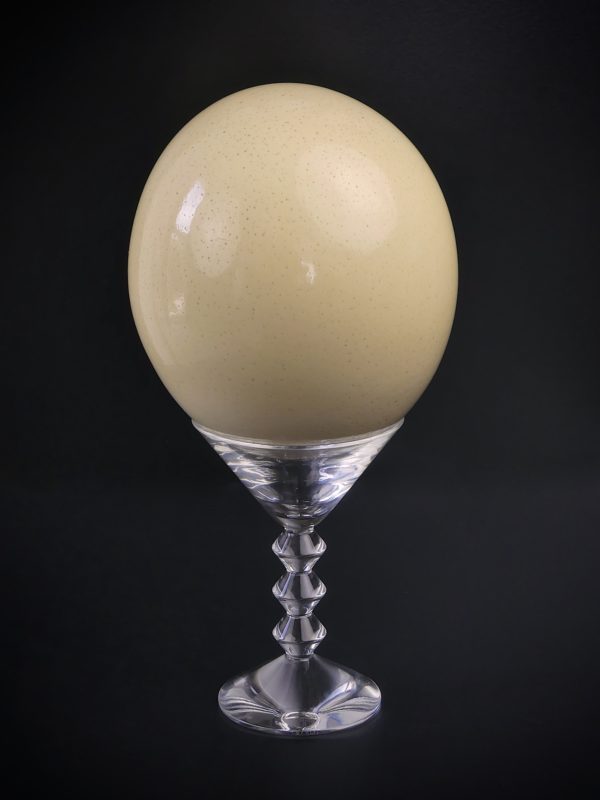 Œuf d’autruche sauvage sur coupe en cristal de Baccarat (face)