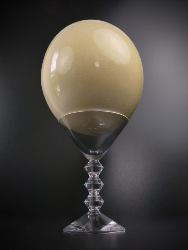 Œuf d’autruche sauvage sur coupe en cristal de Baccarat