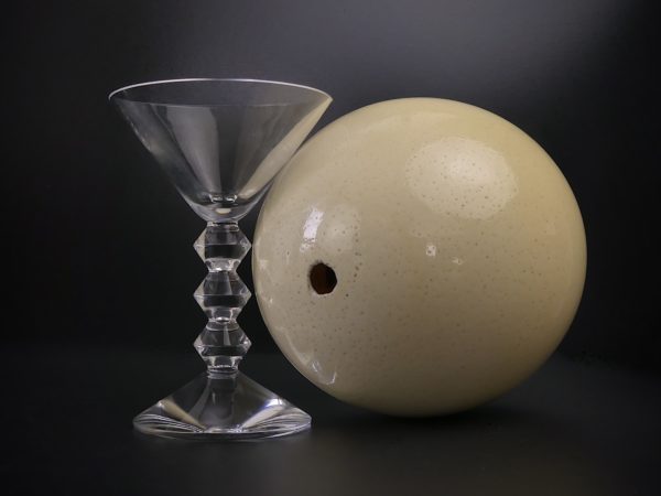 Œuf d’autruche sauvage sur coupe en cristal de Baccarat (dessous)