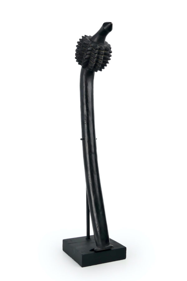 Large massue Totokia fidjienne en bois dur sur socle (3/4)