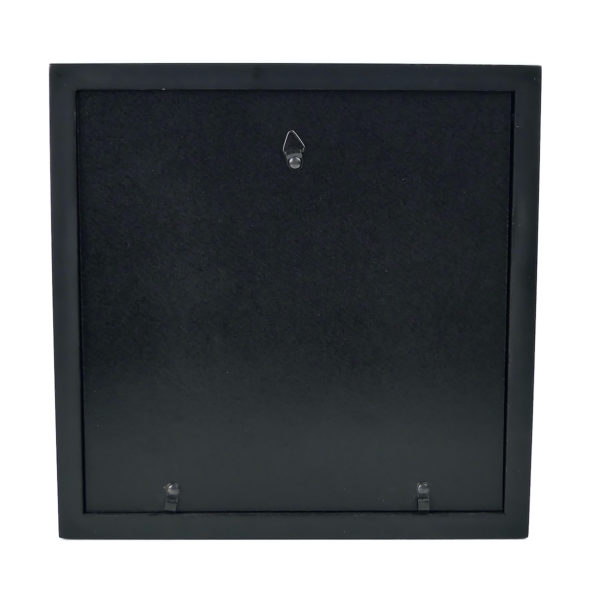 Sphinx tête de mort dans caisson carré noir et passe-partout (dos)