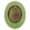 Casque colonial féminin début XXe salacot de collection (dessous)