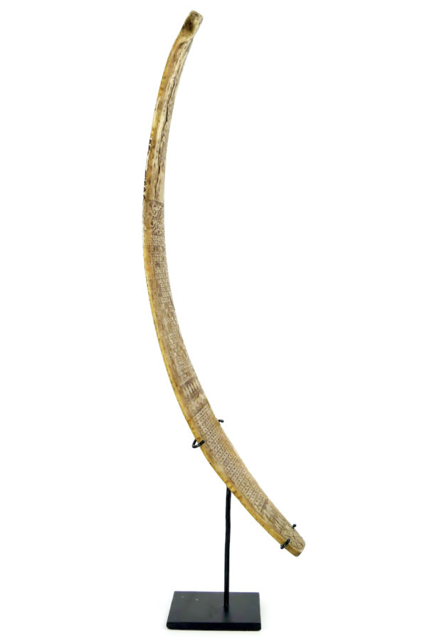 Calendrier divinatoire Batak en os de bovin gravé sur socle Sumatra (profil)