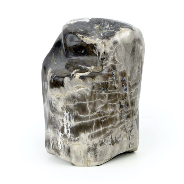 Bloc de bois pétrifié brun gris et blanc du Miocène (3/4)