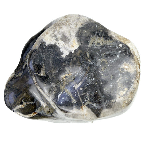 Bloc de bois pétrifié brun gris et blanc du Miocène (dessus)