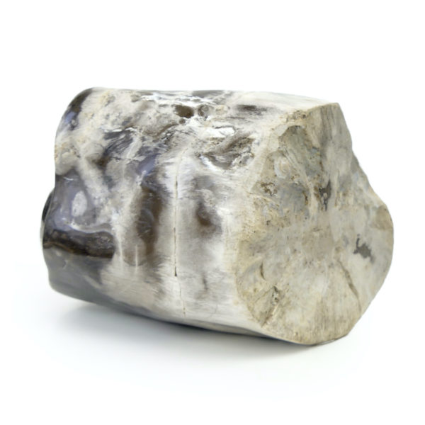 Bloc de bois pétrifié brun gris et blanc du Miocène (dessous 3/4)