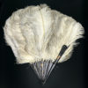 Éventail d’effeuilleuse en plumes d’autruche sur monture écaille (face)