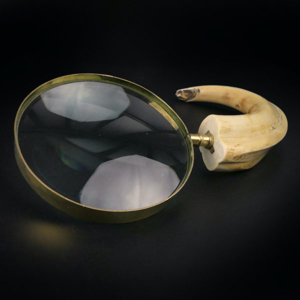 Grande loupe montée sur dent de phacochère ancienne (dessus)