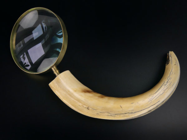 Grande loupe montée sur dent de phacochère ancienne (dessus)