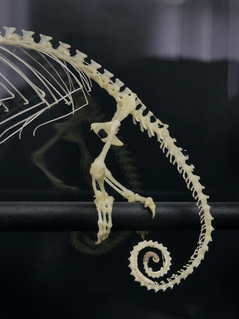 Portapiatti E Bicchieri Da Campeggio In Feltro | Organizer Per Piatti, Con Manici E Cerniera - Foto 14