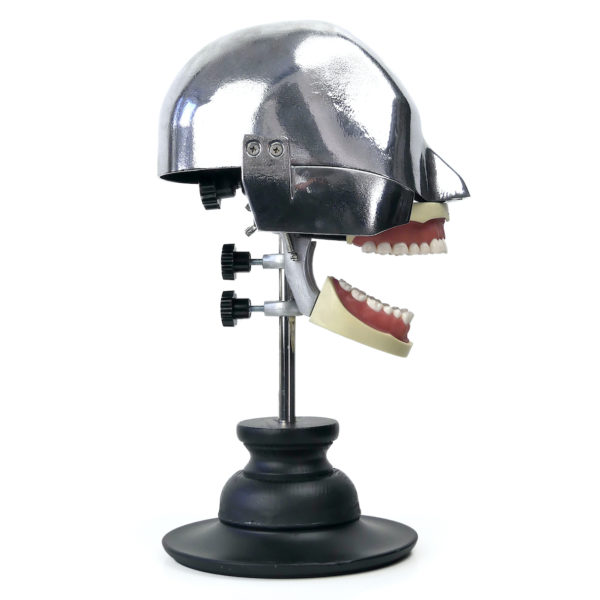 Tête fantôme dentaire vintage des années 70 (profil)