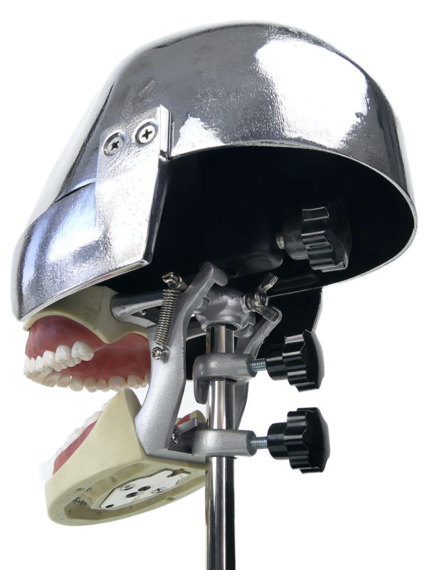 Tête fantôme dentaire vintage des années 70 (3/4 dessous)