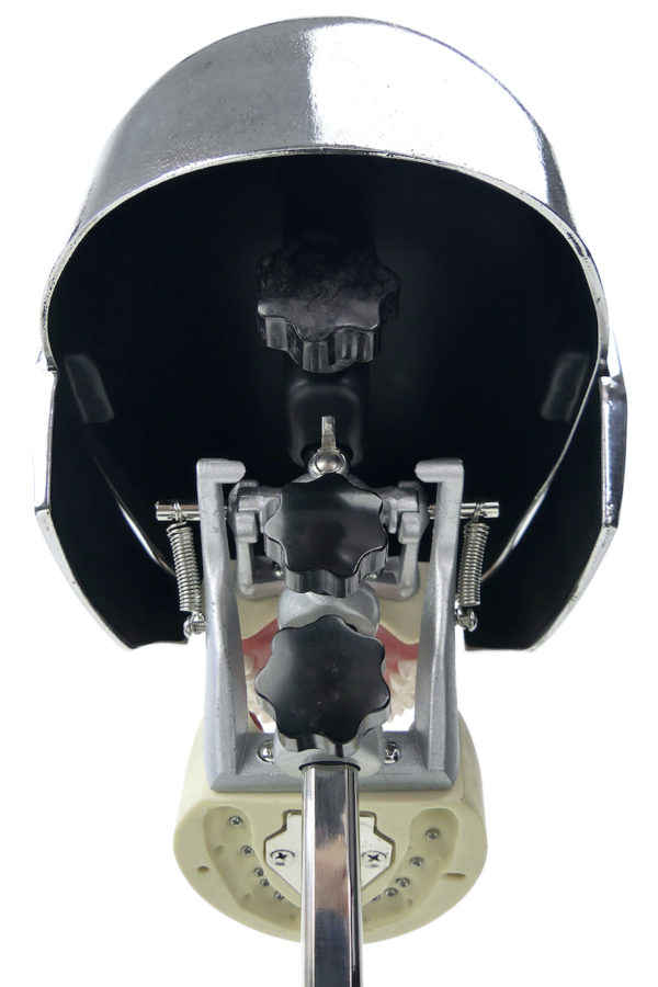 Tête fantôme dentaire vintage des années 70 (dessous)