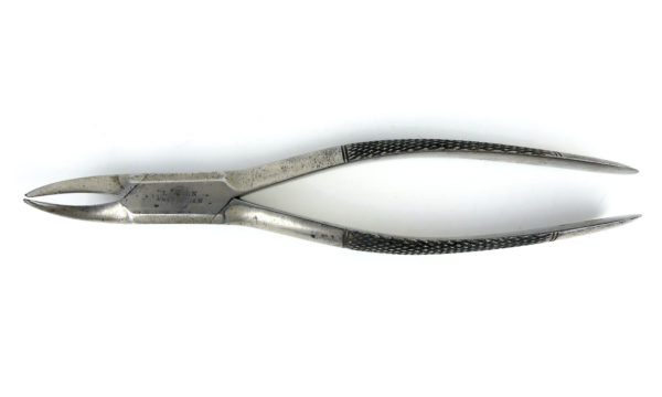 Ensemble instruments Chirurgie dentaire Fin XIXe Dentisterie ancienne Amsterdam (pince)