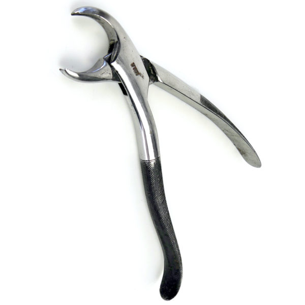 Ensemble instruments Chirurgie dentaire Fin XIXe Dentisterie ancienne Amsterdam (pince)