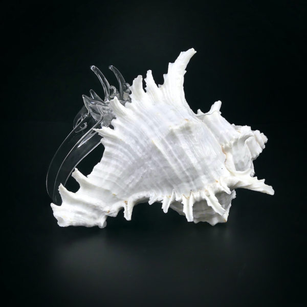 Pagure et murex géant - Bernard-l’hermite en verre filé et coquillage (3/4 dos)