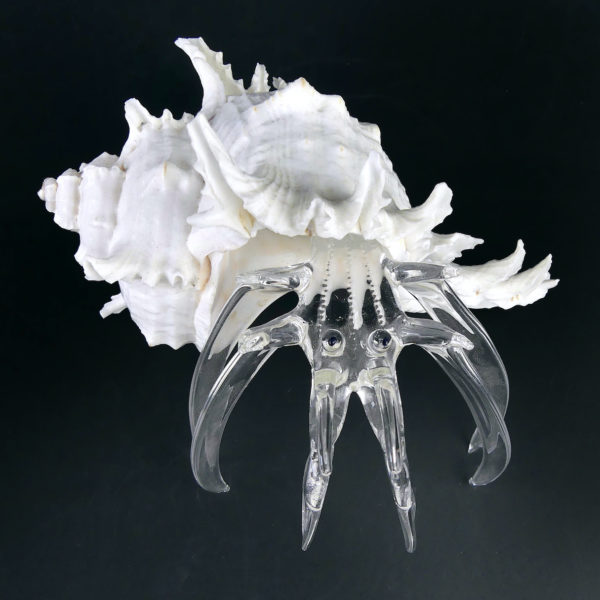 Pagure et murex géant - Bernard-l’hermite en verre filé et coquillage (dessus)