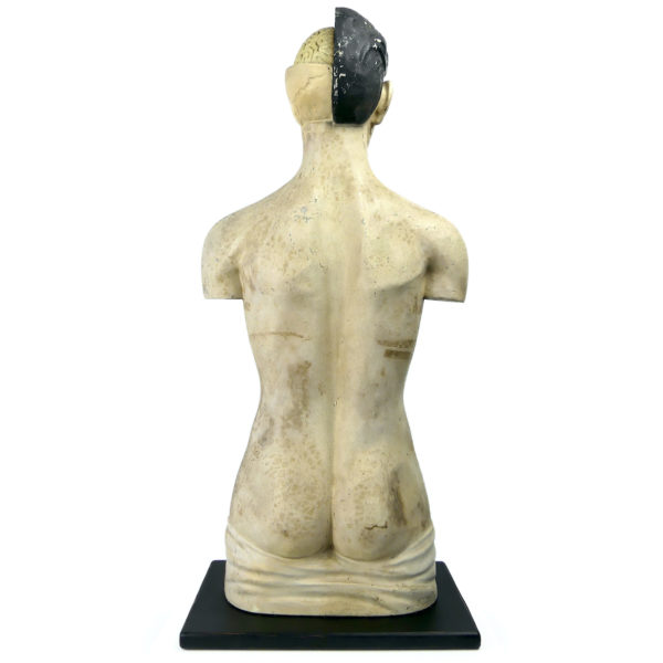 Grand mannequin clastique Phywe sur socle en bois Allemagne 1950 (dos)