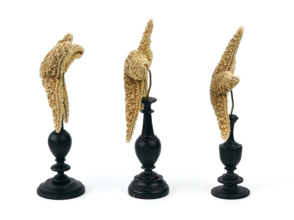 3 étoiles de mer Freaks montées sur pied en bois tourné (profil)