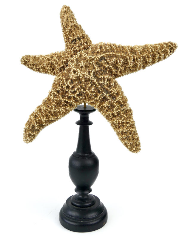 3 étoiles de mer Freaks montées sur pied en bois tourné - 2