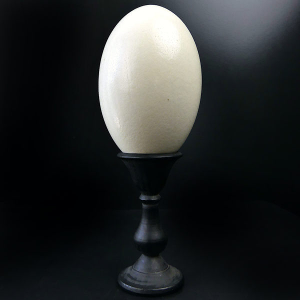 Œuf de nandou véritable sur pied en bois tourné noir (face)